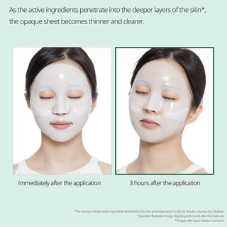 VT Pro Cica Reedle Shot 100 2-Step Hydrogel Mask